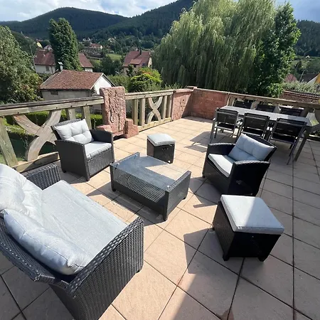 Magnifique Maison Au Coeur De L'alsace - Terrasse Tatil Evi