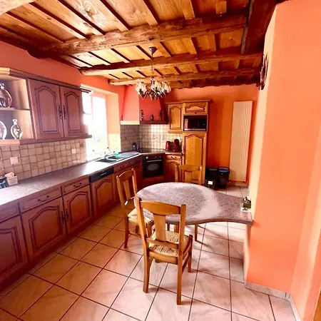 Magnifique Maison Au Coeur De L'alsace - Terrasse Tatil Evi